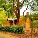 Cedarwood Cottage - New Castle Holiday 0