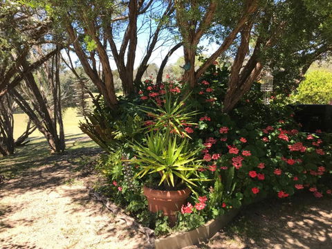 The Fingal Farm - New Castle Holiday 6