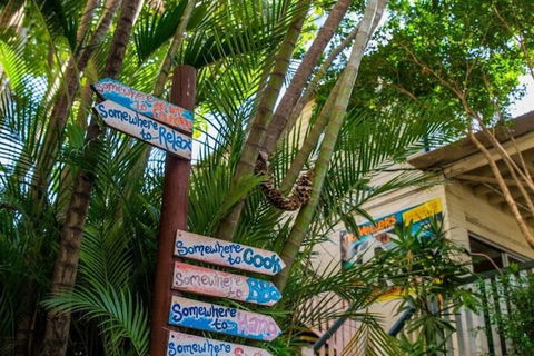 Somewhere To Stay Backpackers - New Castle Holiday 2