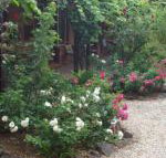 Maldons Eaglehawk Motel - New Castle Holiday