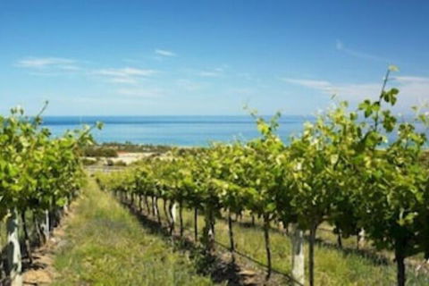 McLaren Vale Backpackers - New Castle Holiday 6