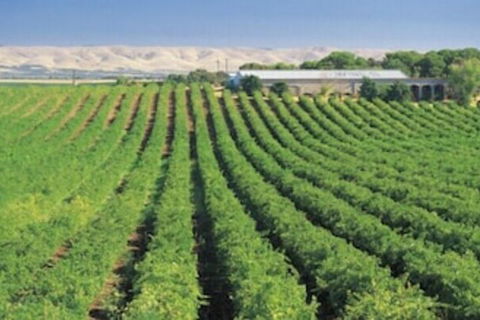McLaren Vale Backpackers - New Castle Holiday 4
