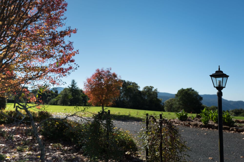 Tallowwood Ridge NSW New Castle Holiday