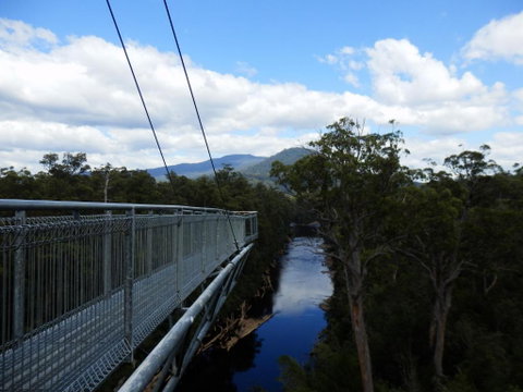 Tahune Air Walk Lodge - New Castle Holiday 5
