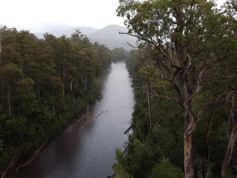Tahune Air Walk Lodge - New Castle Holiday 2