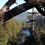 Tahune Air Walk Lodge - New Castle Holiday 0