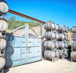 Feathertop Winery - New Castle Holiday