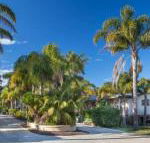 Mollymook Caravan Park - New Castle Holiday
