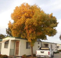 Wodonga Caravan  Cabin Park - New Castle Holiday