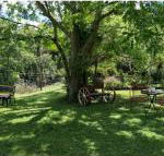 Bielbys Hideaway - New Castle Holiday