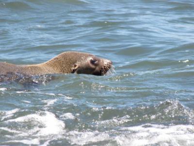 Baudins Accommodation - New Castle Holiday 5