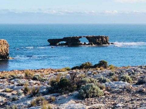 Residence On Robe - New Castle Holiday 5