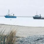 Residence On Robe - New Castle Holiday 0