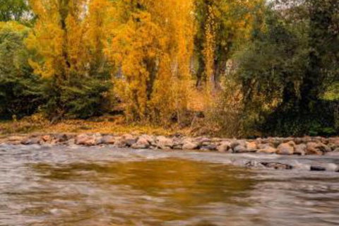 Alpine Aspects - New Castle Holiday 5