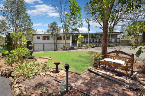 The Odd Gecko - New Castle Holiday 1