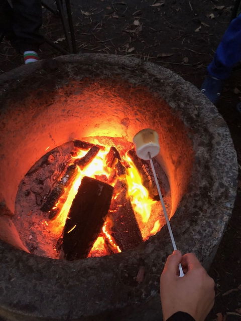 WA Wilderness - New Castle Holiday 1