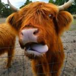 Tammin WA New Castle Holiday