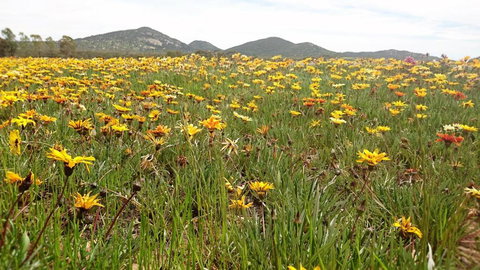 You Yangs Bed & Breakfast - New Castle Holiday 5
