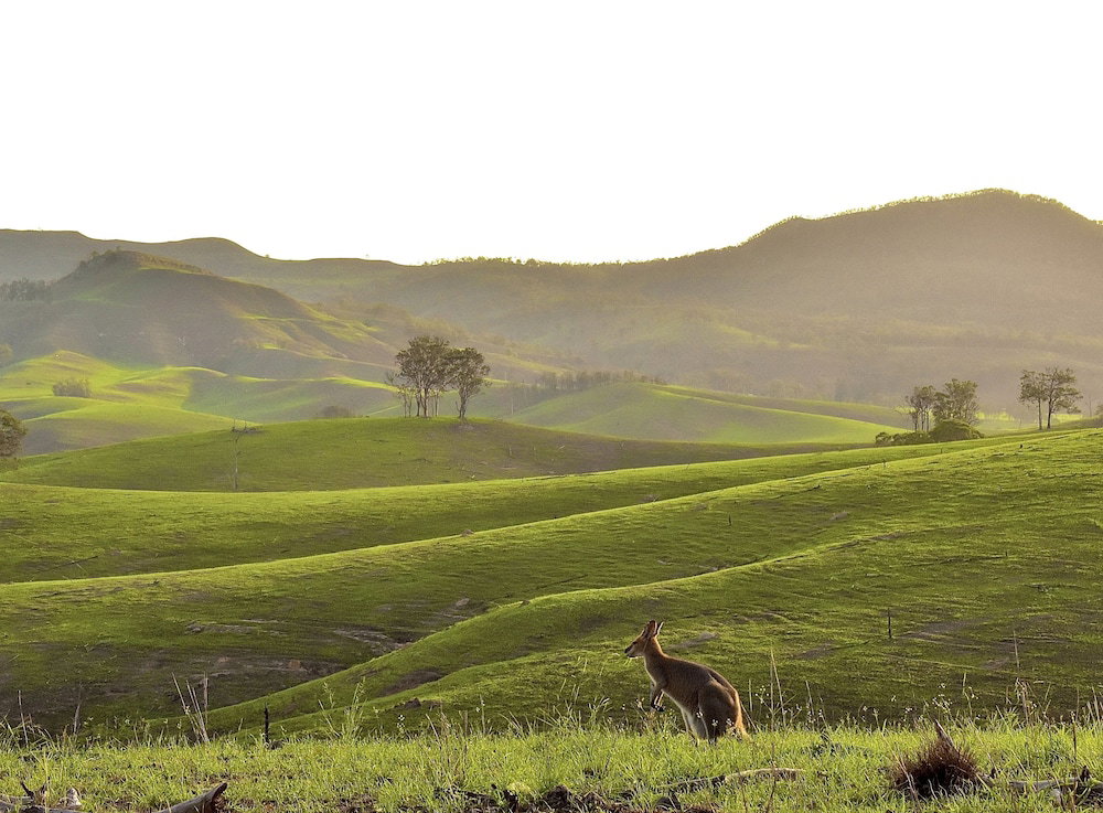 Cannon Creek QLD New Castle Holiday