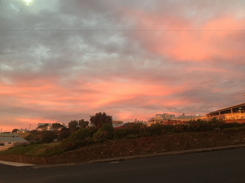 Noah's - New Castle Holiday 5