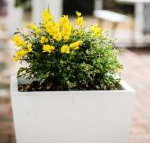 Esperance Coastal Retreat - New Castle Holiday