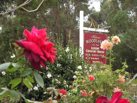 Woodlands Of Bridgetown B & B - New Castle Holiday 5