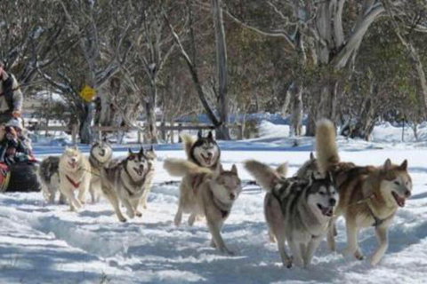 Gundy Lodge - New Castle Holiday 5