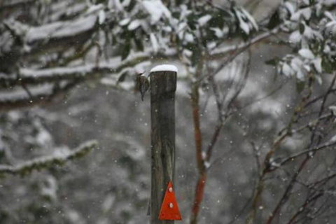 Gundy Lodge - New Castle Holiday 3