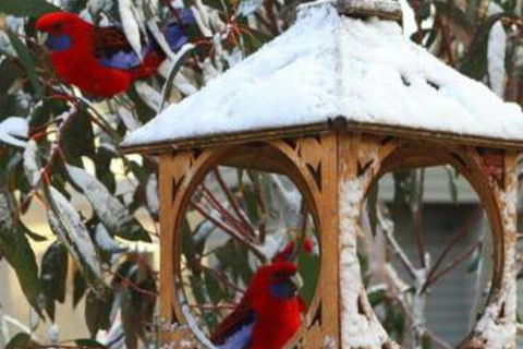 Gundy Lodge - New Castle Holiday 6