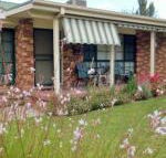 Butterfly Cottage - New Castle Holiday