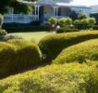 Whiskey Gully Wines - New Castle Holiday