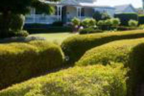 Whiskey Gully Wines - New Castle Holiday 0