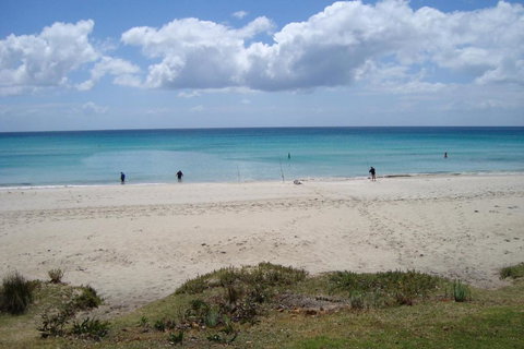 Sunset Over Sea Rosebud McCrae - New Castle Holiday 2