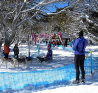 Cloud 9 Alpine Lodge - New Castle Holiday