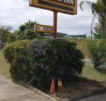 Golden West Motor Inn - New Castle Holiday