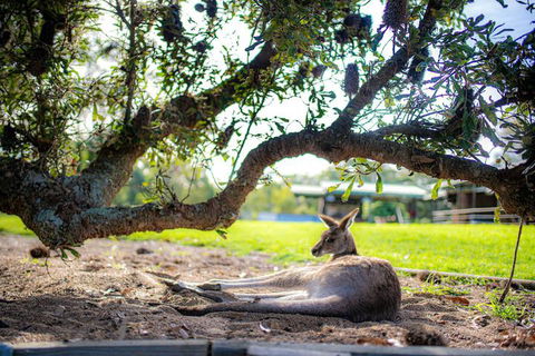 Waterfall Springs Retreat And Wildlife Sanctuary - New Castle Holiday 5