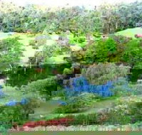 The Acreage BB - New Castle Holiday