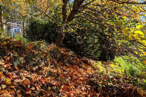 Mountain Blue Guest Accommodation - New Castle Holiday 1