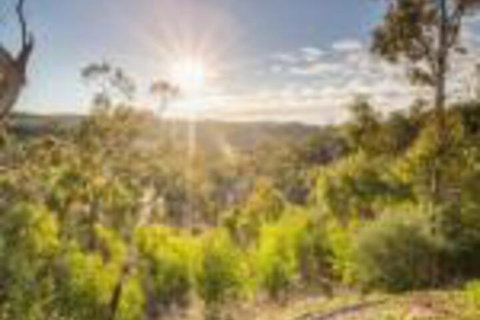 Skillogalee - New Castle Holiday 0