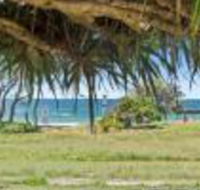 Pandanus on Emerald - New Castle Holiday