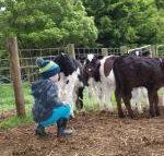 Manderley Park Farmstay B  B - New Castle Holiday