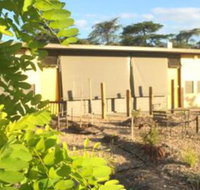 Tread Harcourt - New Castle Holiday