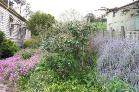 Alvie Cottage - New Castle Holiday 1