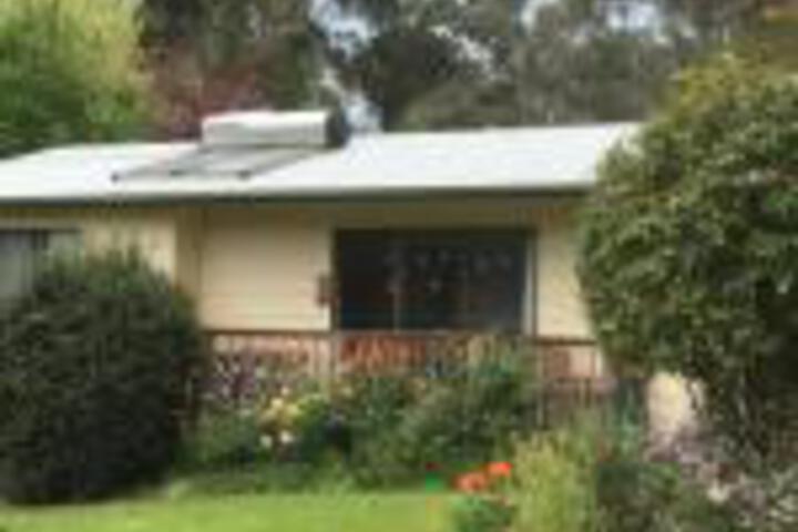 Dollar VIC New Castle Holiday