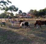 Heartland Hideaway - New Castle Holiday