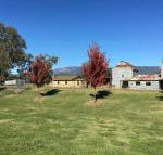 La Casa - New Castle Holiday