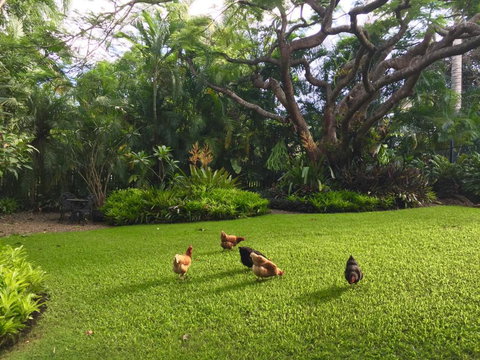 Eden Rest - New Castle Holiday 1