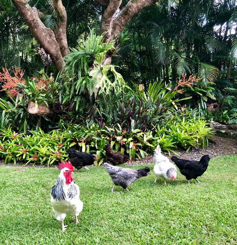 Eden Rest - New Castle Holiday 3