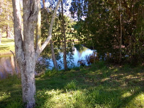 Eumundi Cottages Cottage 1 - New Castle Holiday 4