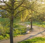 A Suite Spot in the Hills - New Castle Holiday